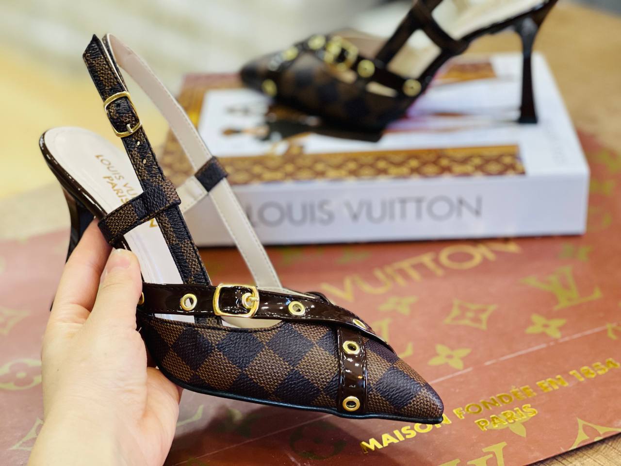 LVS -Bag and Shoes